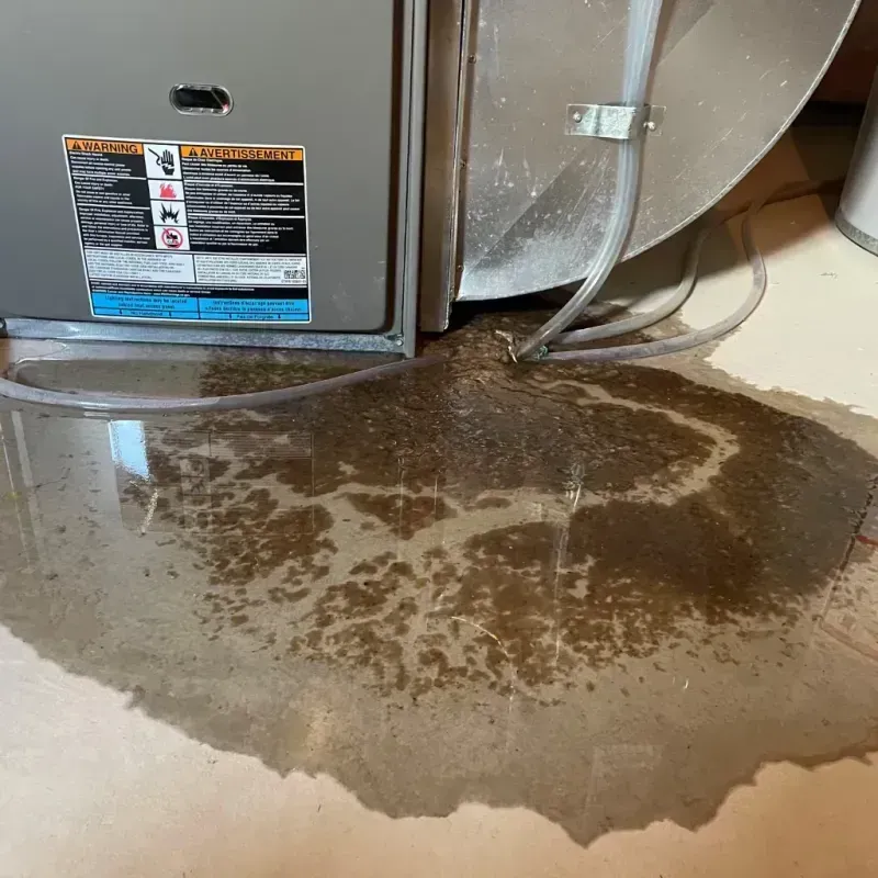 Appliance Leak Cleanup in Columbia County, OR